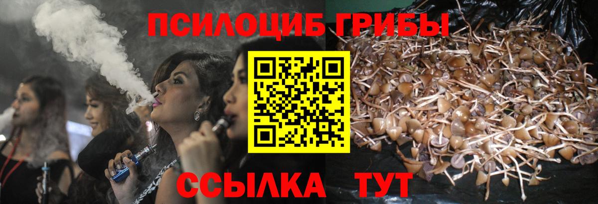 где найти наркотики  Псилоцибиновые грибы GOLDEN TEACHER  Вход с VPN  Кировск 