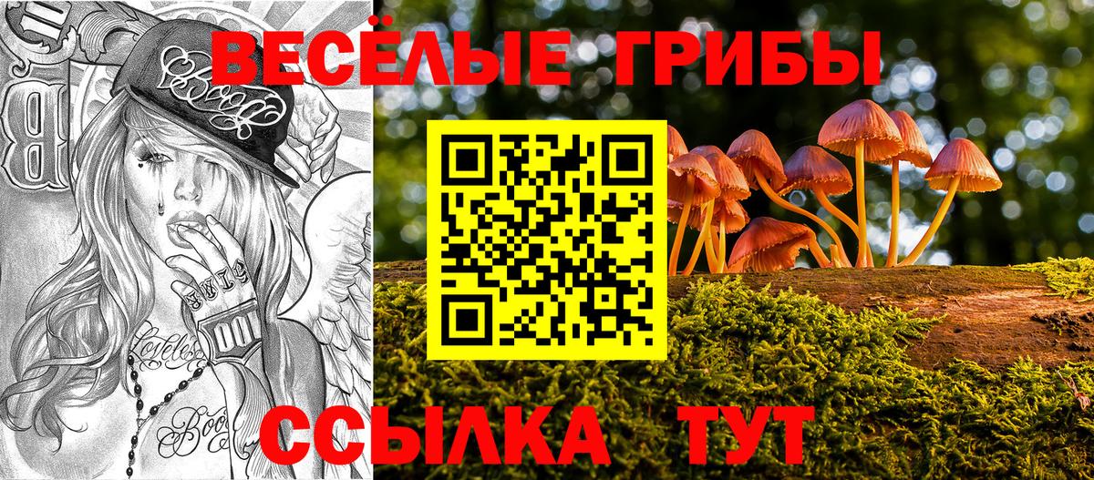 Псилоцибиновые грибы мухоморы Кировск